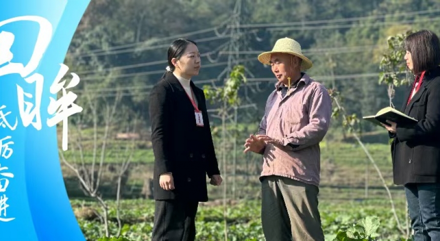 回眸·2024砥砺奋进丨雨城区：聚焦群众关切坚持执纪为民以专项整治办好民生实事