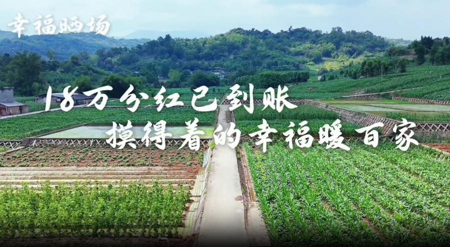 幸福晒场｜天全县：18万分红已到账，摸得着的幸福暖百家