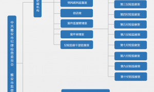 雅安市纪委监委组织机构