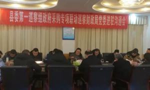 荥经县开展政府采购专项联动巡察工作