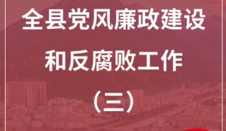图说（三）丨奋楫五载结硕果 风清气正满棉城