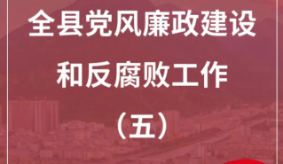 图说（五）丨奋楫五载结硕果 风清气正满棉城