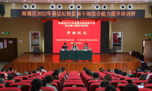 雨城区：提升办案质效　落细落实“三个工作方案”