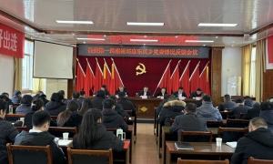 县委第一巡察组向乐英乡党委反馈巡察情况
