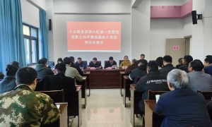 十五届县委第六轮第一巡察组巡察王岗坪彝族藏族乡党委情况反馈会议召开