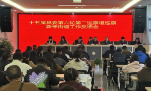 十五届县委第六轮第二巡察组巡察新棉街道党工委情况反馈会议召开
