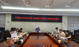 名山区召开区委巡察工作领导小组第12次会议