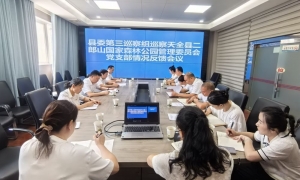 ​县委第三巡察组向天全县二郎山国家森林公园管理委员会党支部反馈巡察情况