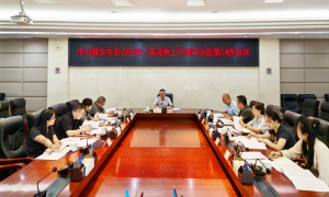 名山区召开区委巡察工作领导小组第14次会议