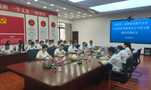 县委第三巡察组向天全县水务投资有限责任公司党支部反馈巡察情况