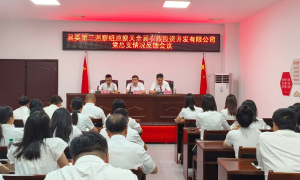 ​县委第三巡察组向天全县农旅投资开发有限公司党总支反馈巡察情况